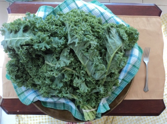 Kale- Yum!